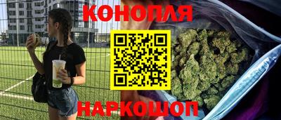 индика Мариинск